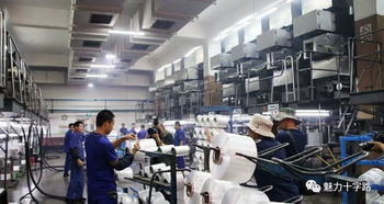 鏡頭記錄變遷，筆墨書(shū)寫(xiě)新篇——十字路街道舉辦攝影與文學(xué)創(chuàng)作采風(fēng)活動(dòng)